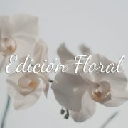 don algodon ambients edición floral